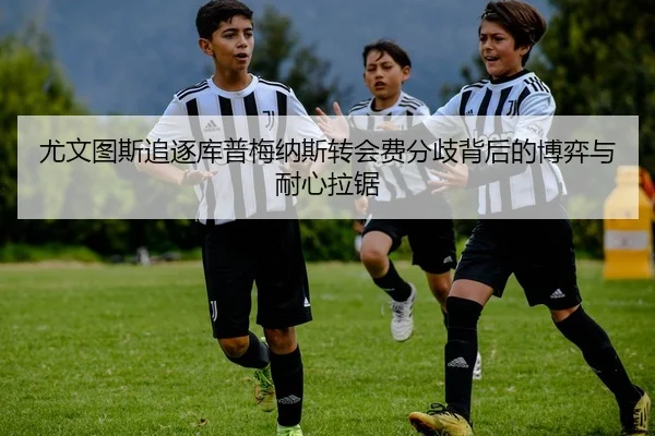 尤文图斯追逐库普梅纳斯转会费分歧背后的博弈与耐心拉锯
